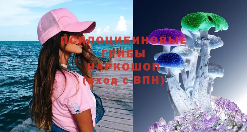 Галлюциногенные грибы Magic Shrooms  Мамоново 